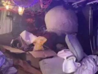 Gay sex chat with costlowcody23 - camgaychat.com